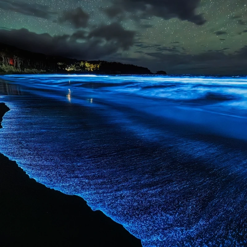 Thiên nhiên kỳ diệu với biển phát sáng tự nhiên