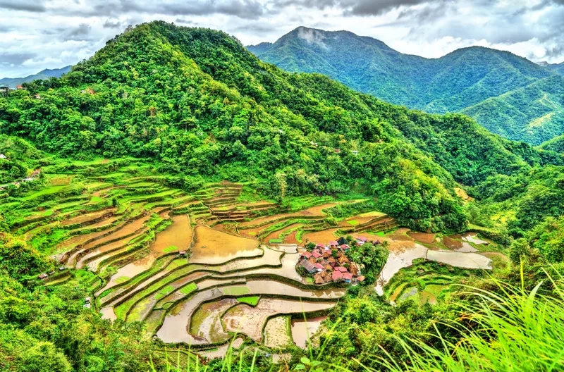 Ngắm ruộng bậc thang đẹp rực rỡ mê hoặc
