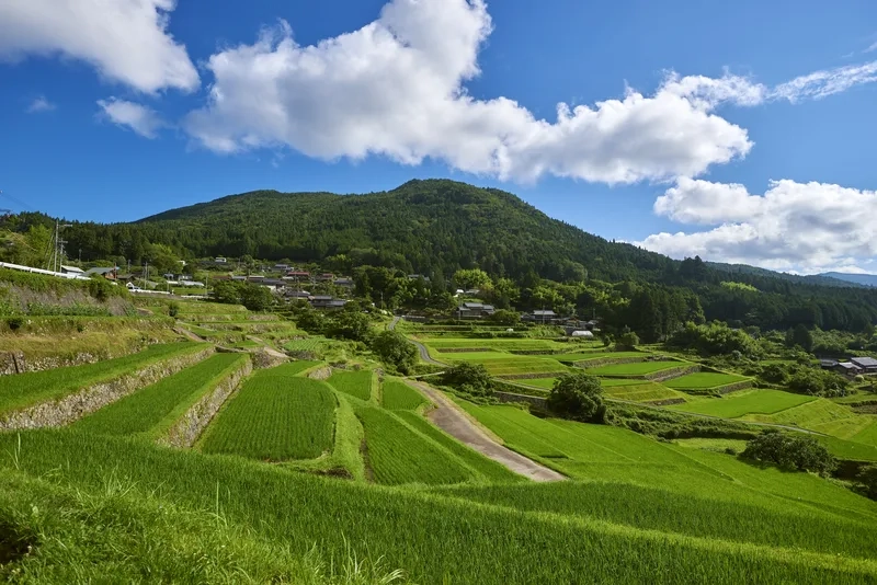 Khám phá ruộng bậc thang đẹp nhất tuyệt vời