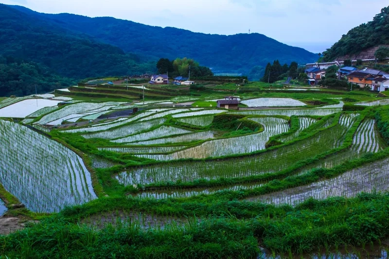Ngắm ruộng bậc thang ngắm cảnh thơ mộng